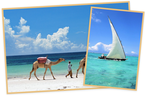 디아니 비치 (Diani Beach) 이미지